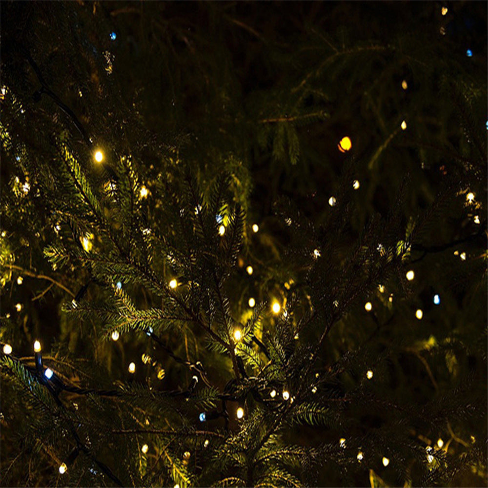 Dark Green Line LED Low Voltage String Lights Fairy Lights